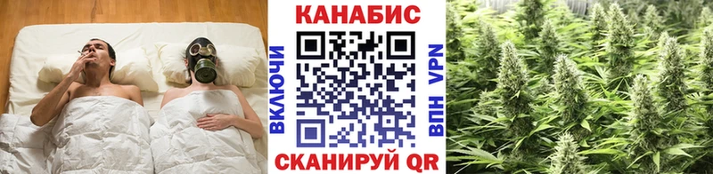 МЕТАДОН Куртамыш